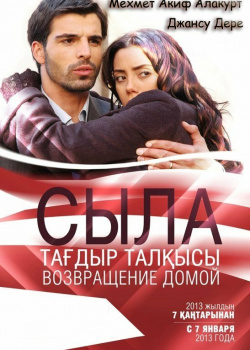 Постер Сыла. Возвращение домой (2006)